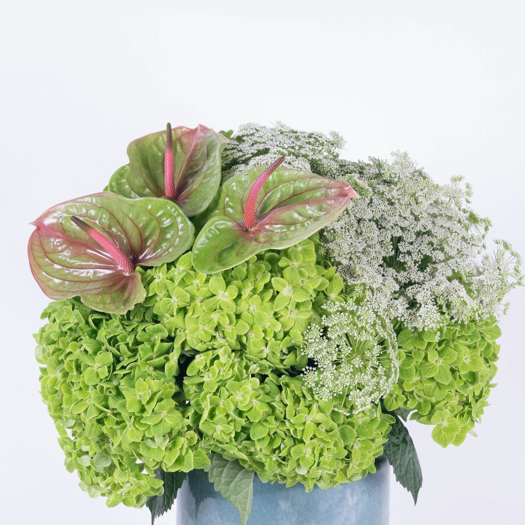 Verdant | Green Hydrangea & Anthuriums Flower Arrangement