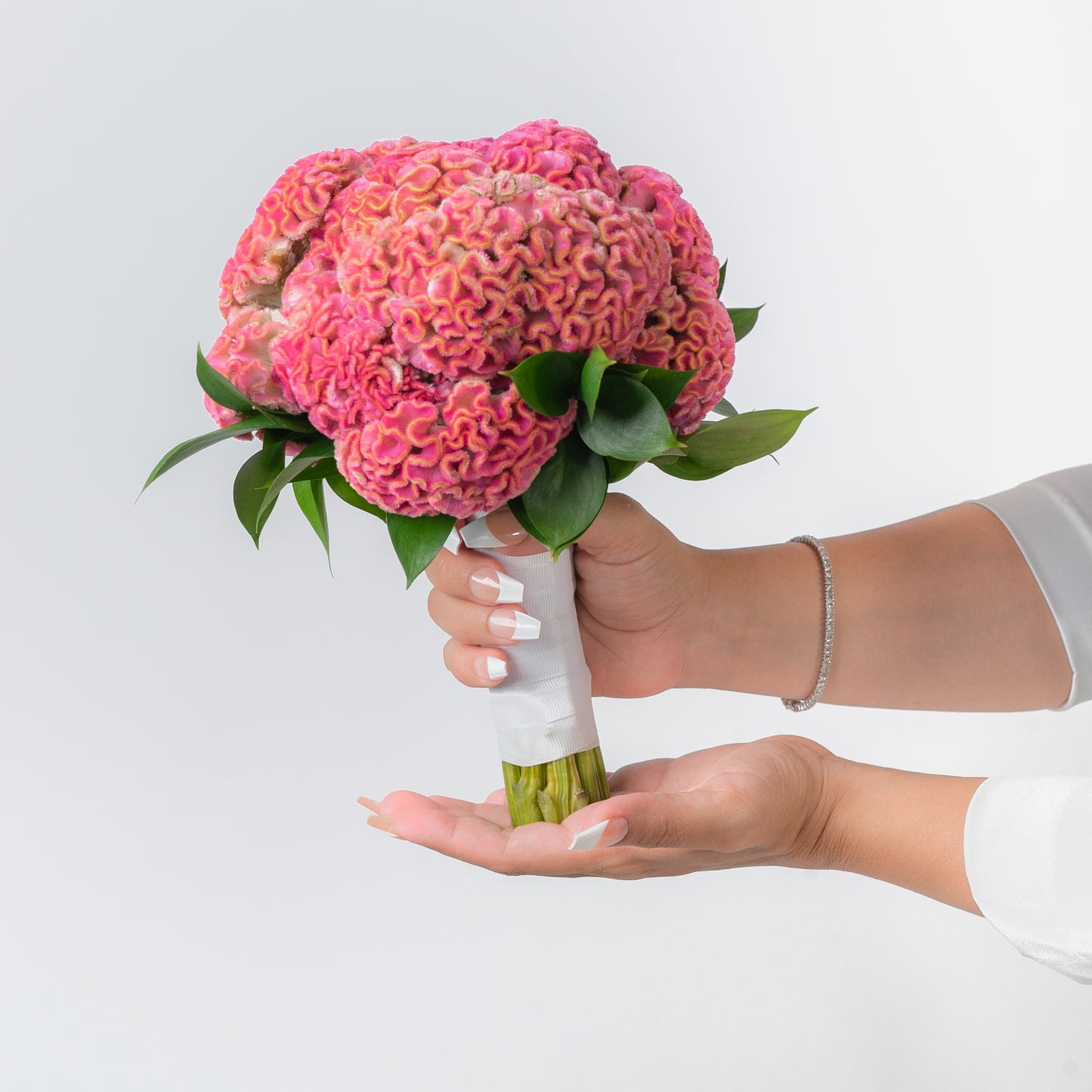 Pink Celosia Bride