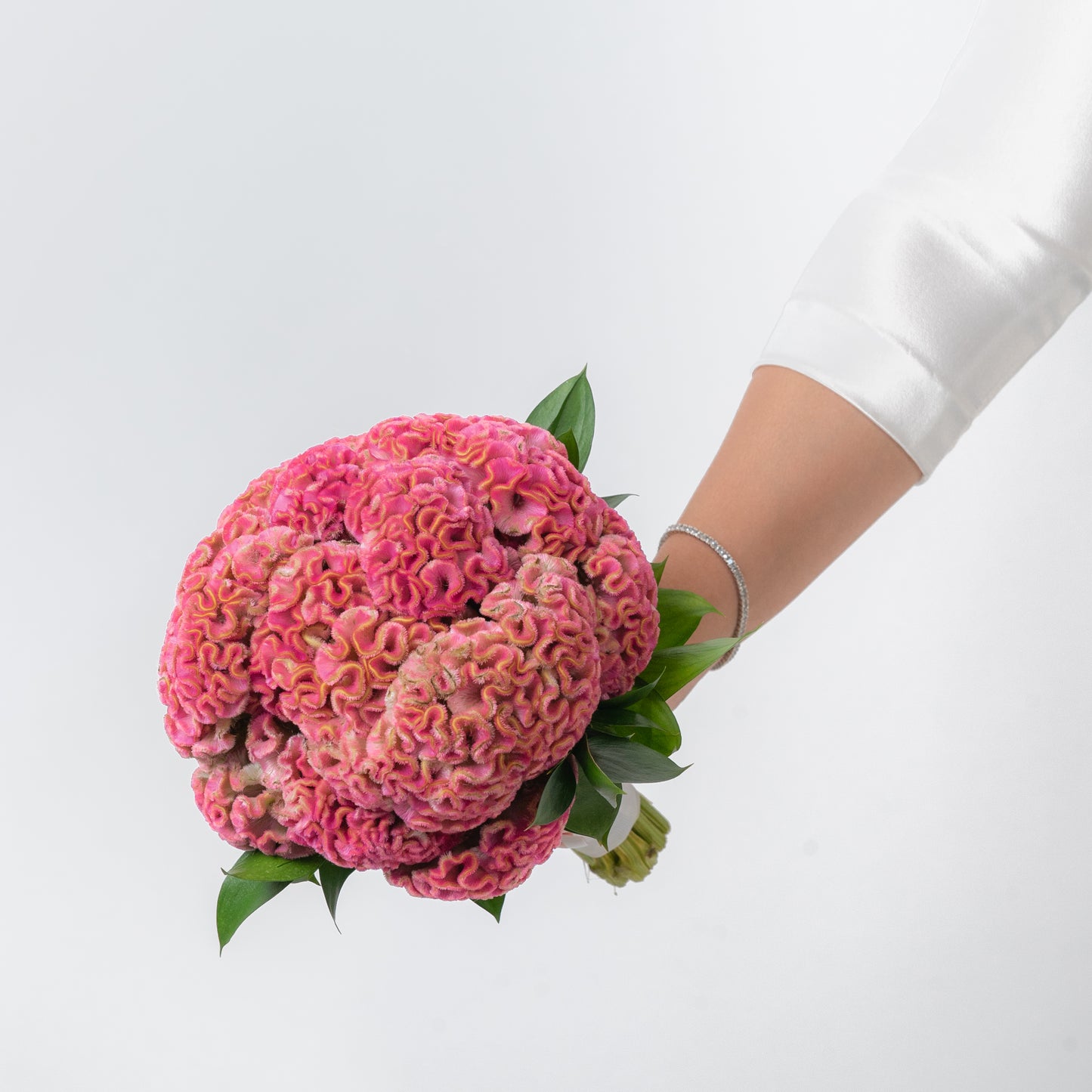 Pink Celosia Bride