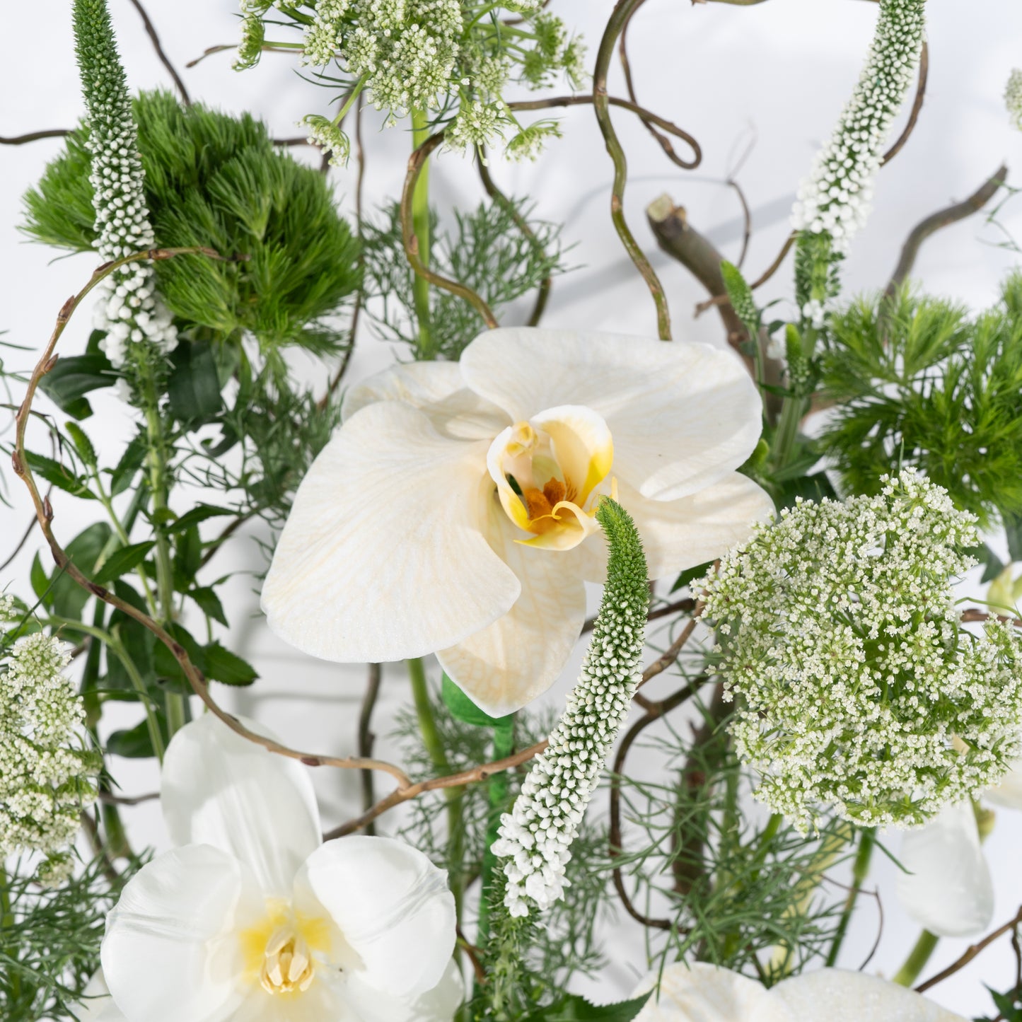 Floral (White)
