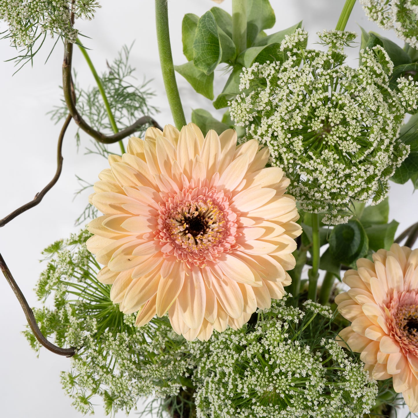Posy Garden