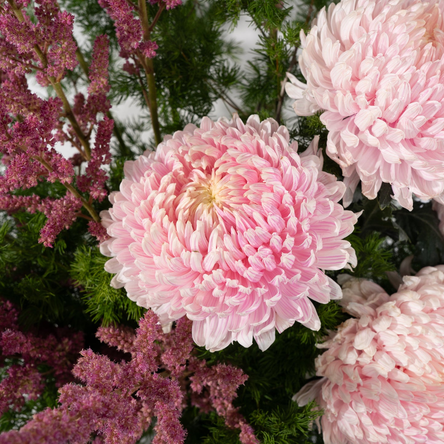 Blush pot