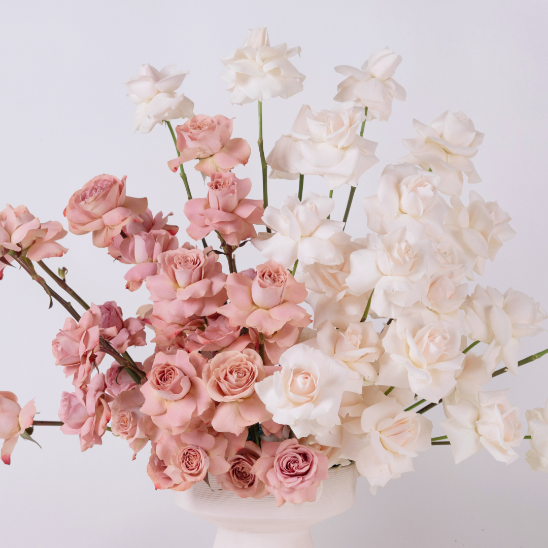 white rose cappuccino roses in a vase