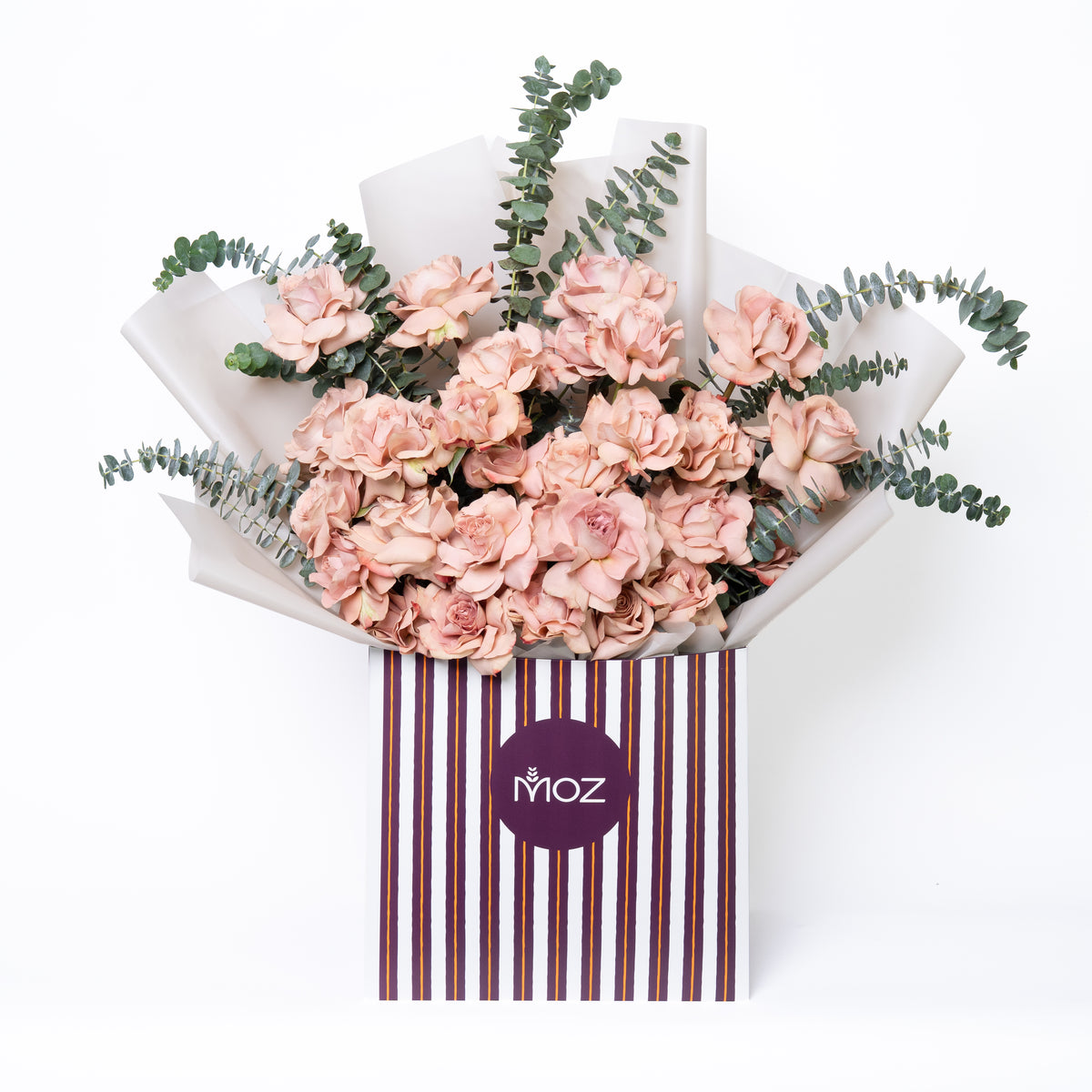 Lilt | Latte Roses, Peach Orchids & Eucalyptus Leaves