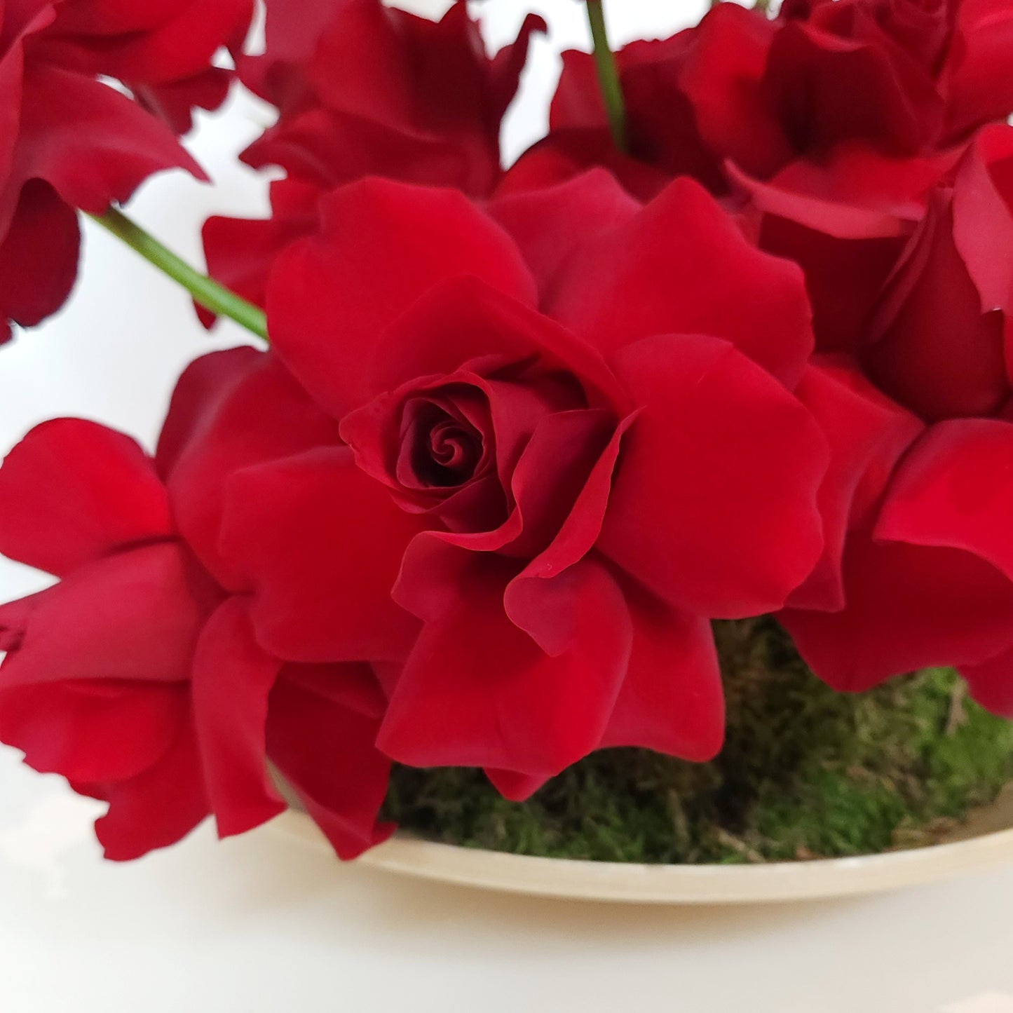 best florist dubai