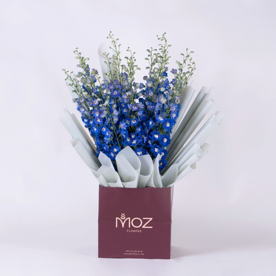 Black Knight | Dark Blue Delphinium Bouquet