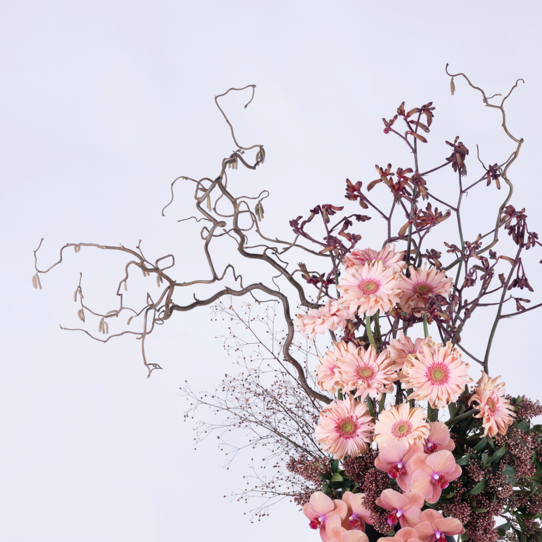 Peach Orchids & Gerbera Arrangement