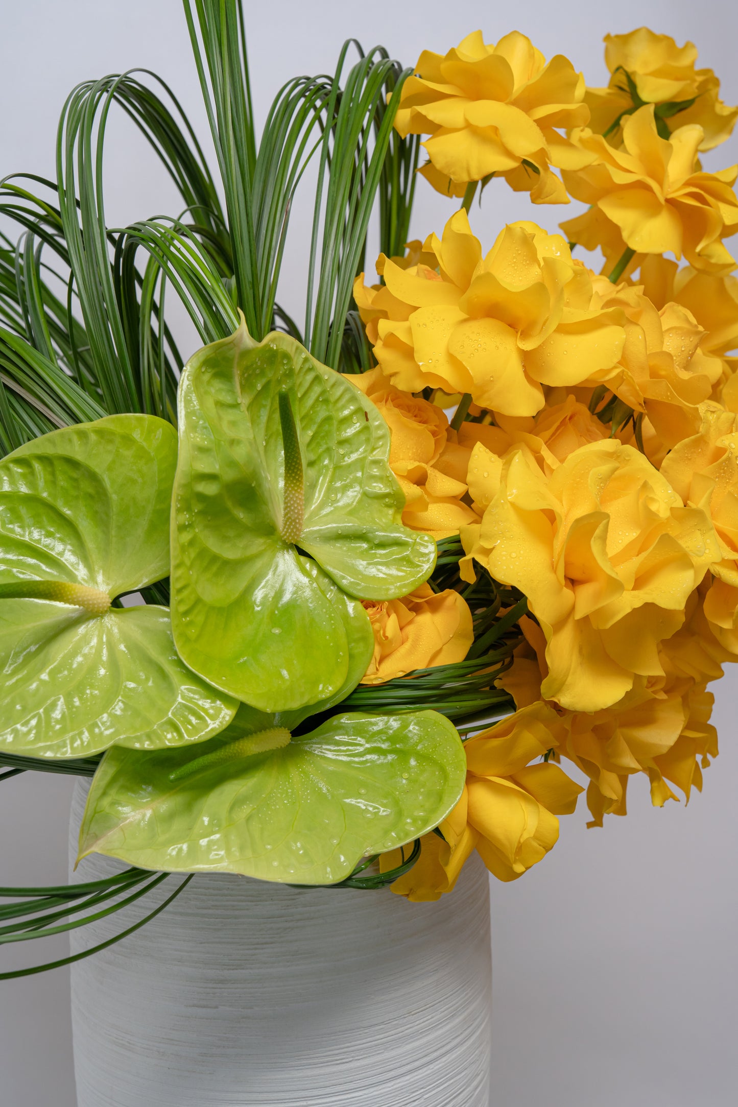 Sheikha's Rose Garden