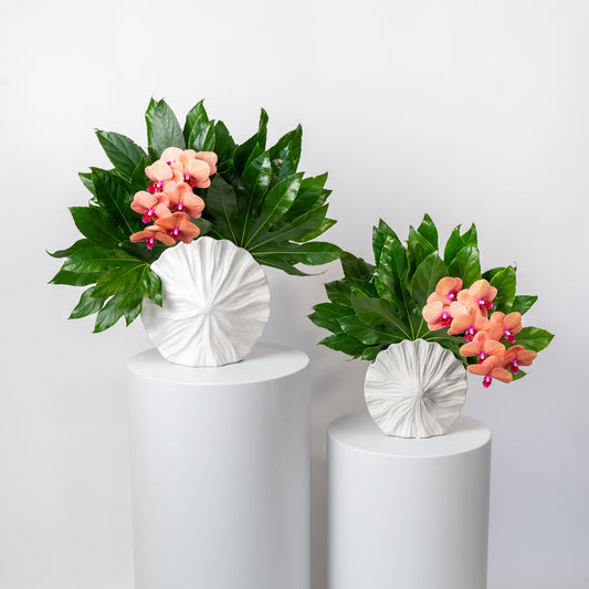 Trangine Orchid Twins