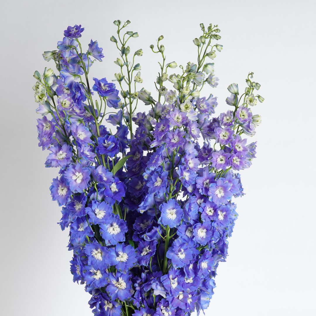 best flower delivery dubai