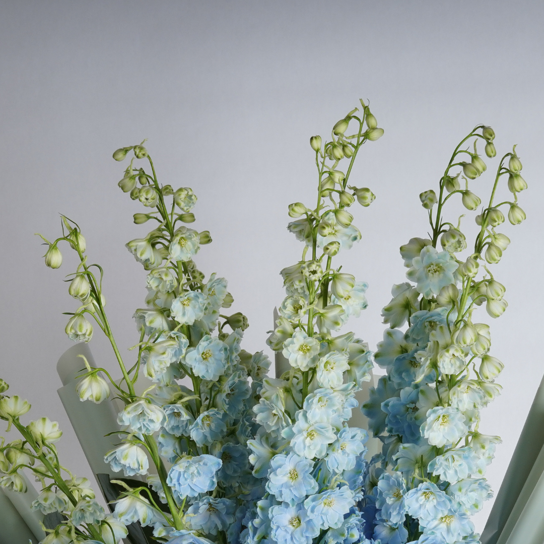 corporate flowers dubai