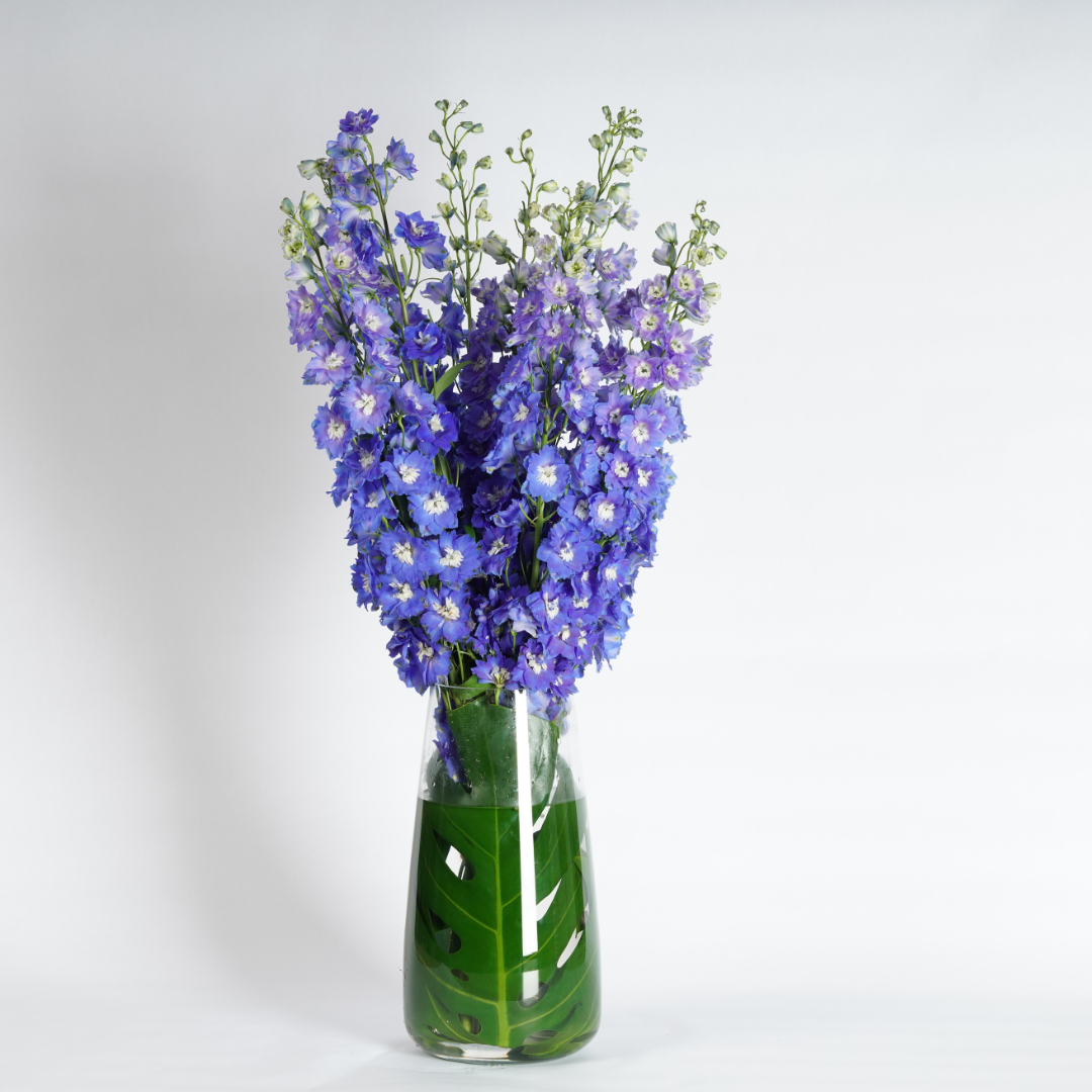 blue delphinium flower arrangement