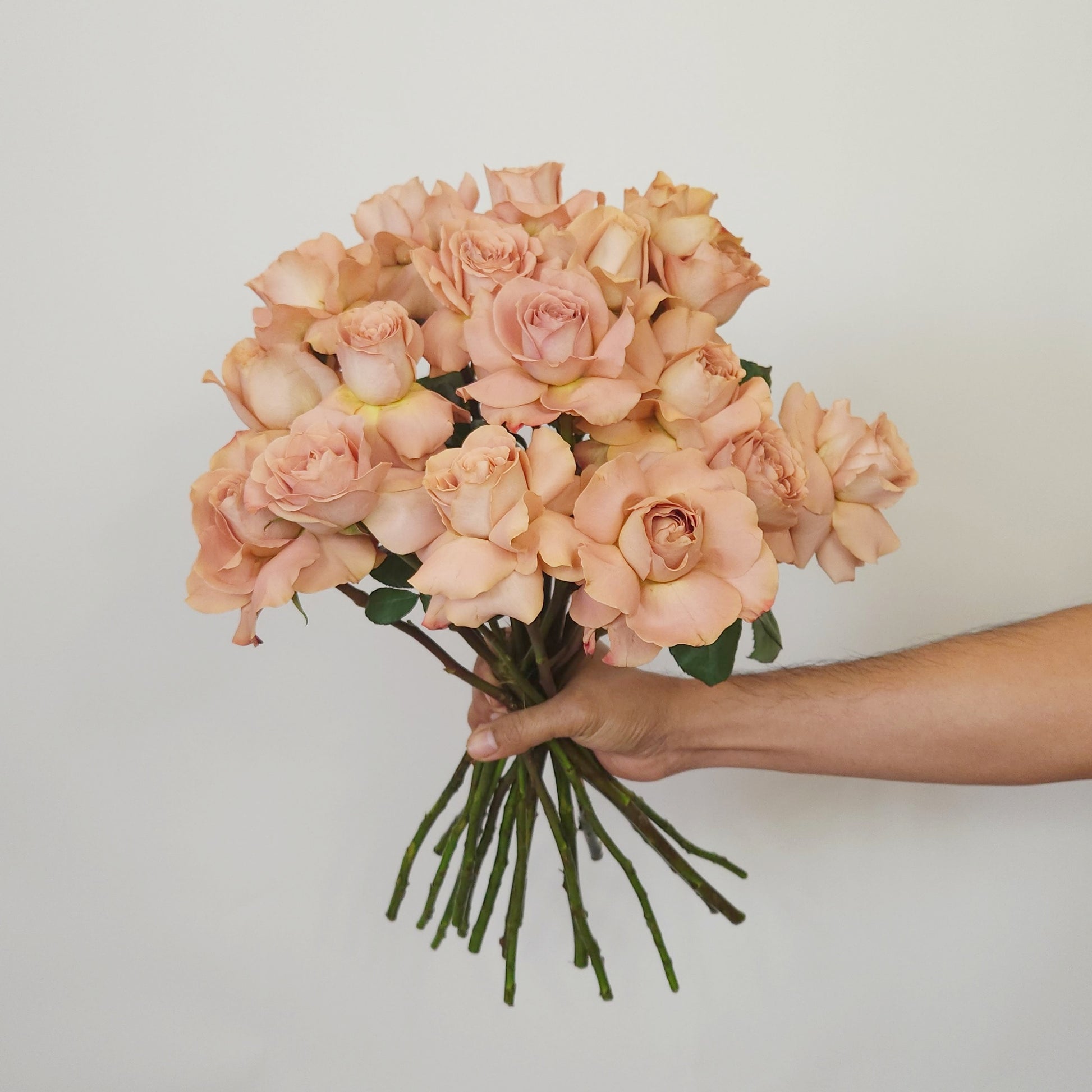 cappuccino roses flower delivery dubai