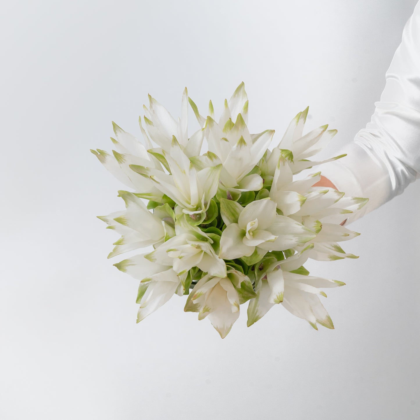 Shine Bridal bouquet