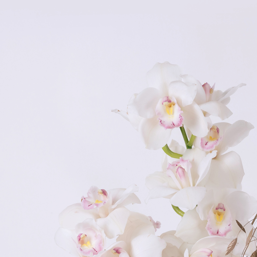 Orchid Twinkle | White Orchid &  Gold foliage flower arrangement