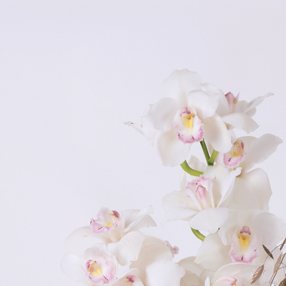 Orchid Twinkle | White Orchid &  Gold foliage flower arrangement