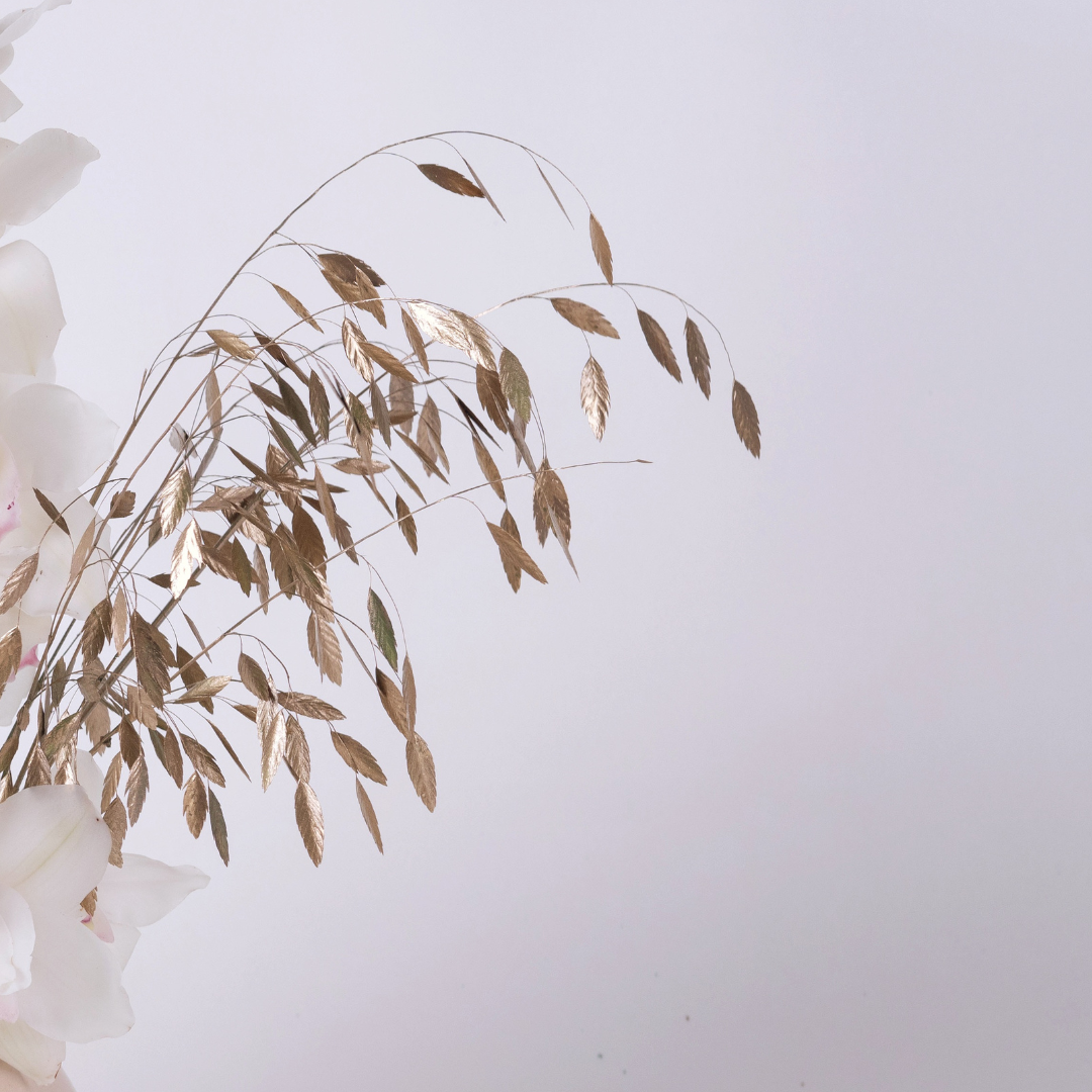 Orchid Twinkle | White Orchid & Gold foliage flower arrangement