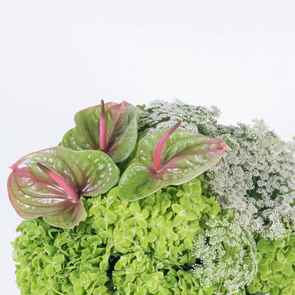 Verdant | Green Hydrangea & Anthuriums Flower Arrangement
