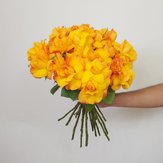fresh orange roses free delivery dubai