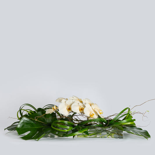 orchid flower centerpiece