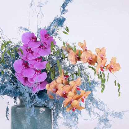 Turquoise | Phalaenopsis orchids Floral Arrangement