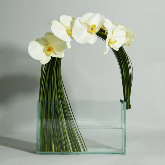 modern orchid arrangement 