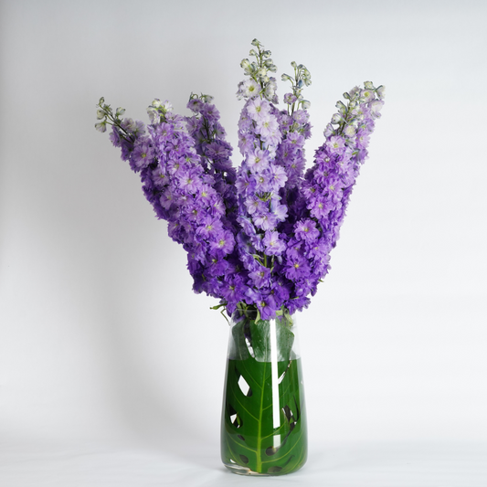 flower delivery dubai