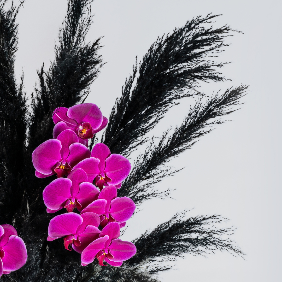 black pampas and pink orchids flower arrangement