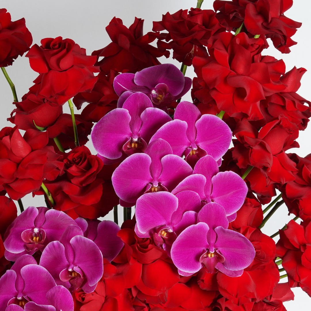 valentines day flowers