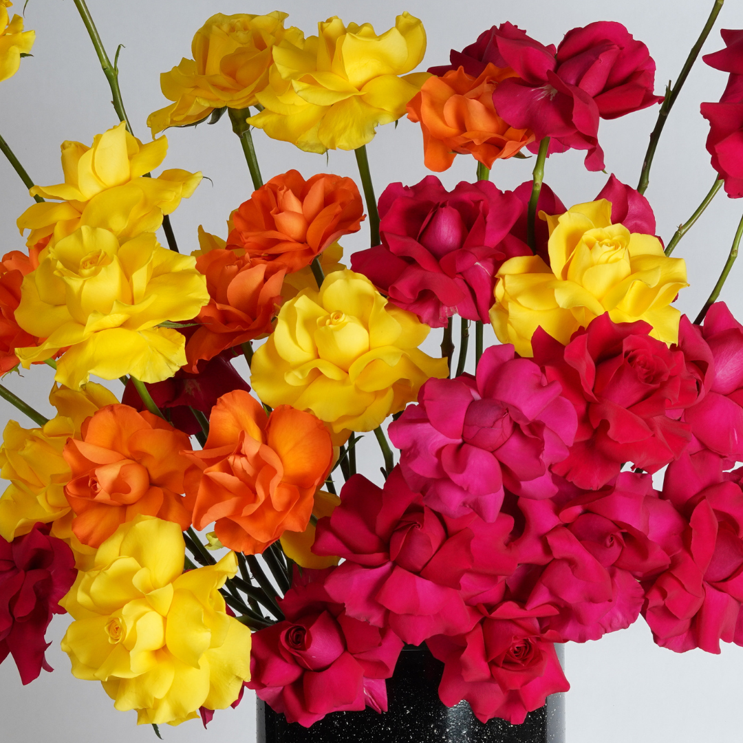 roses flower delivery