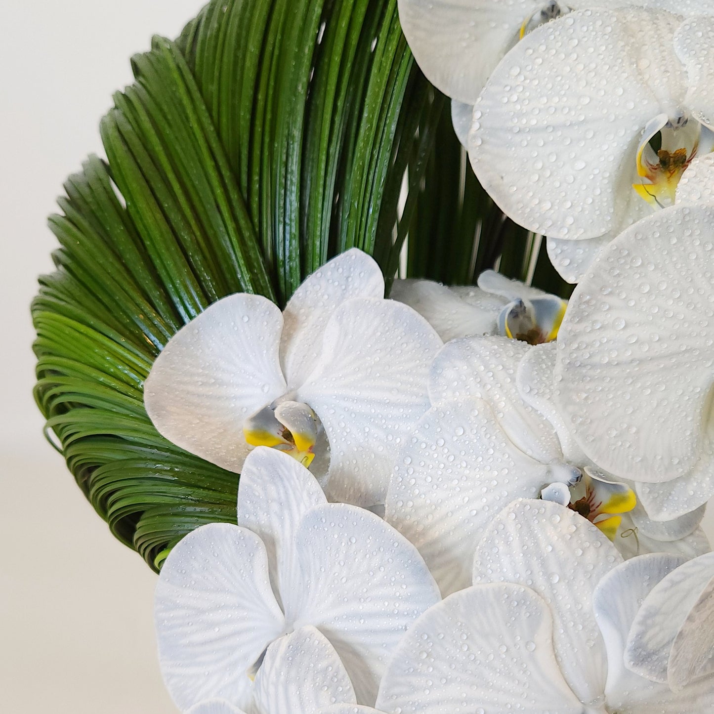 orchids eashell flower arrangement dubai flower delivery