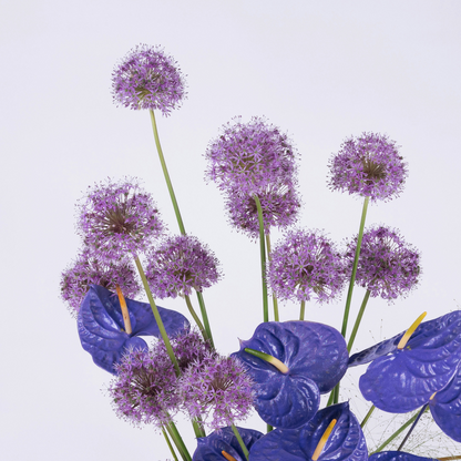 Mauve | Purple Anthuriums & Allium Flower Arrangement