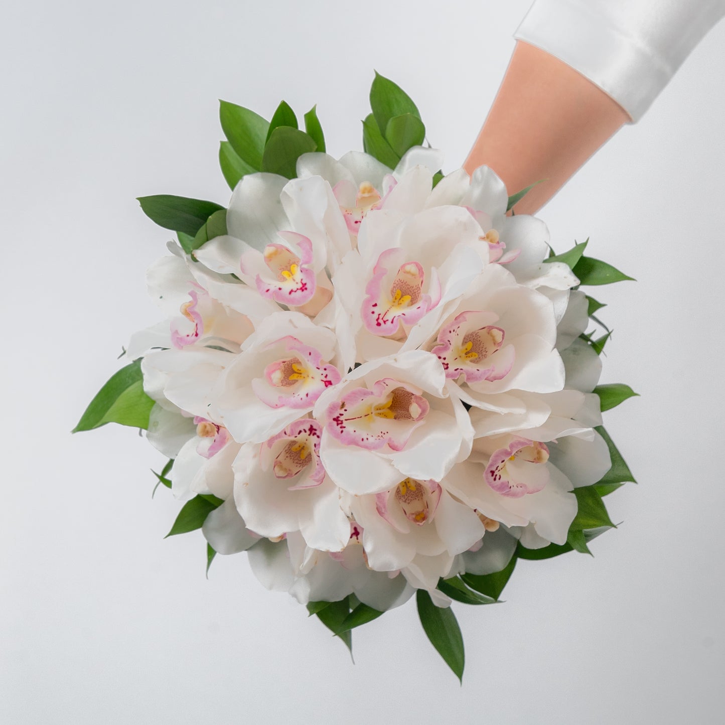 Cymbidium Bride