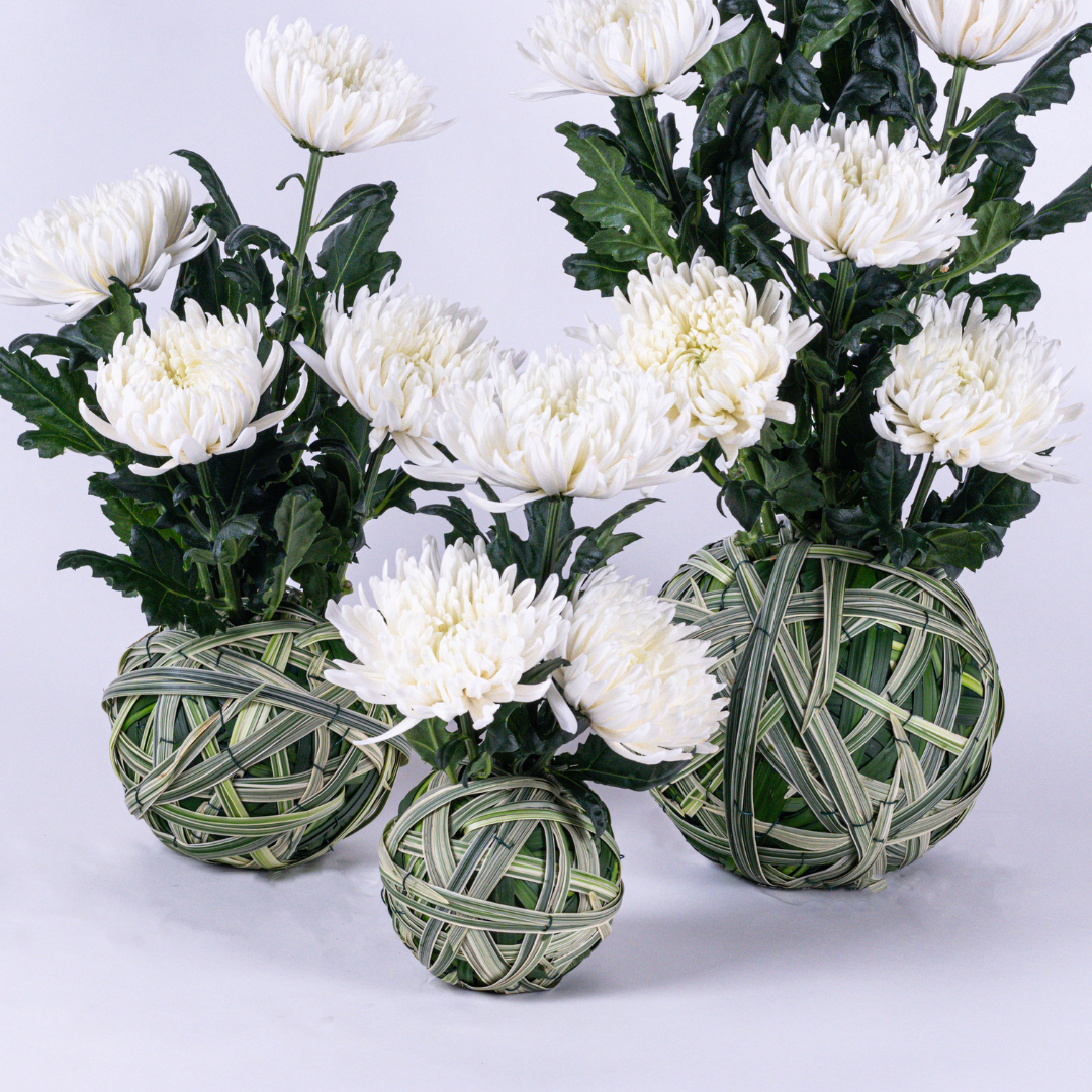 White Chrysanthemum Set Floral Arrangements