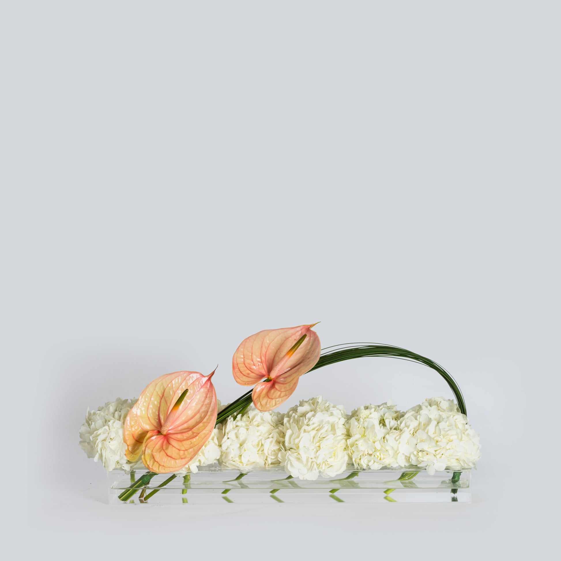 hydrangea flower arrangement