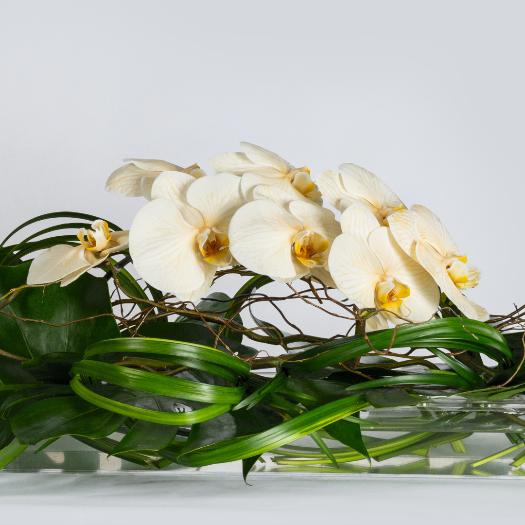 flower delivery dubai