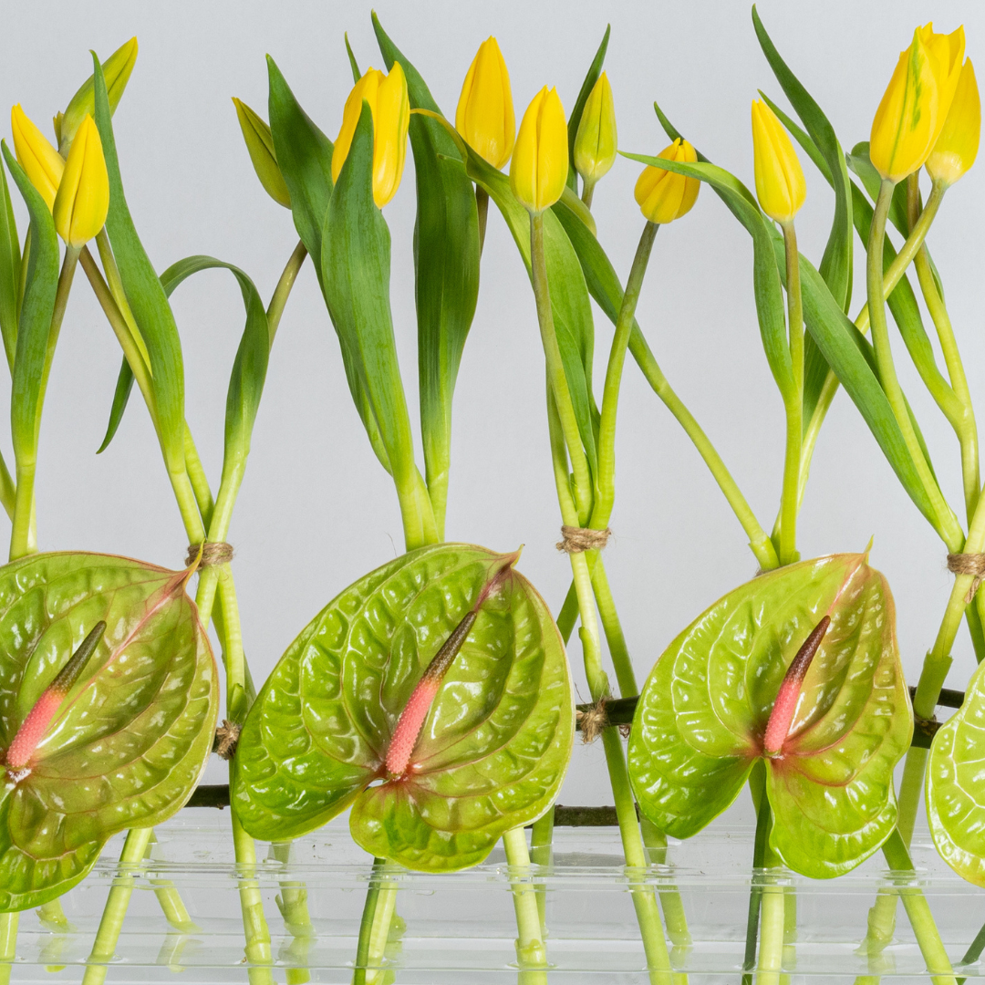 tulips and anthurium centerpiece