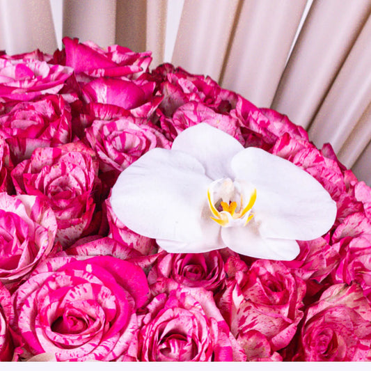 Blooming Love: Celebrating Mother's Day with Exquisite Flowers from Moz Flowers