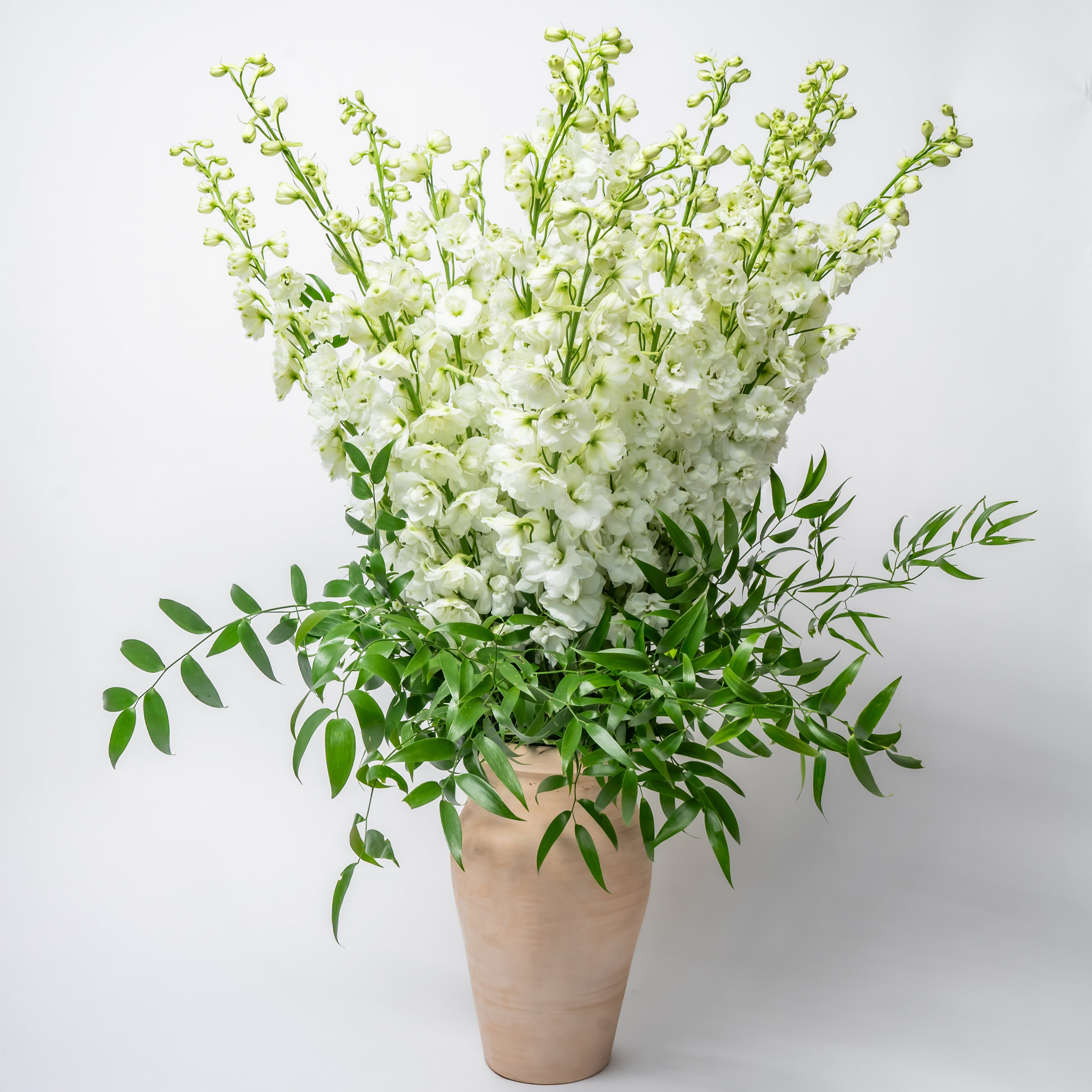 Flower Shop Fresh Flower Arrangements