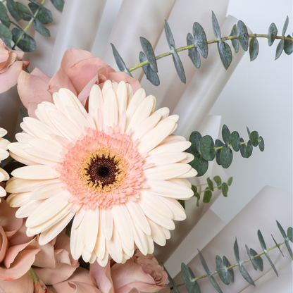 Cafe Del Mar | Cream Roses & Gerbera Bouquet