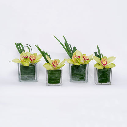 Verte Set