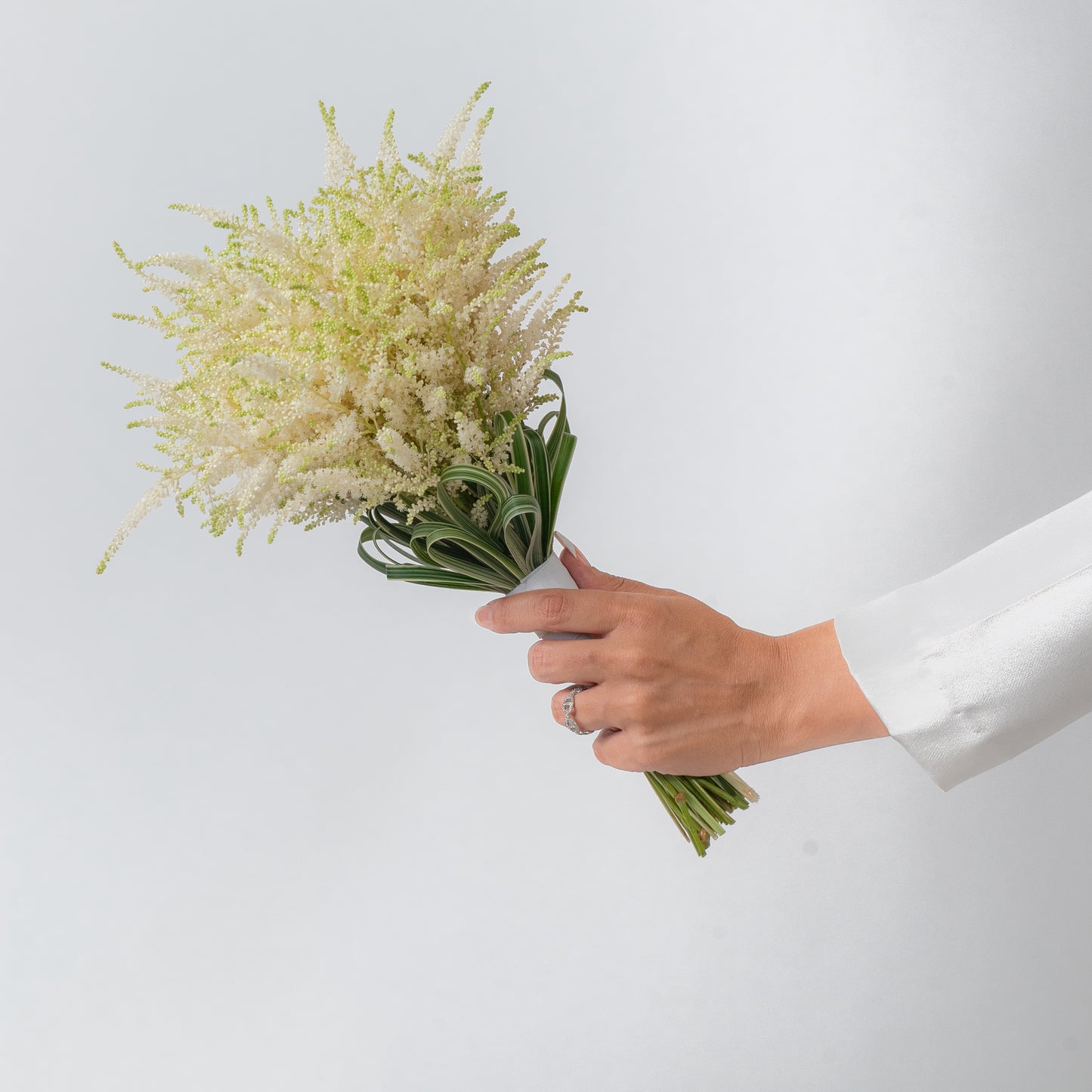 Astilbe Bride