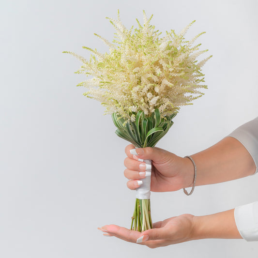 Astilbe Bride