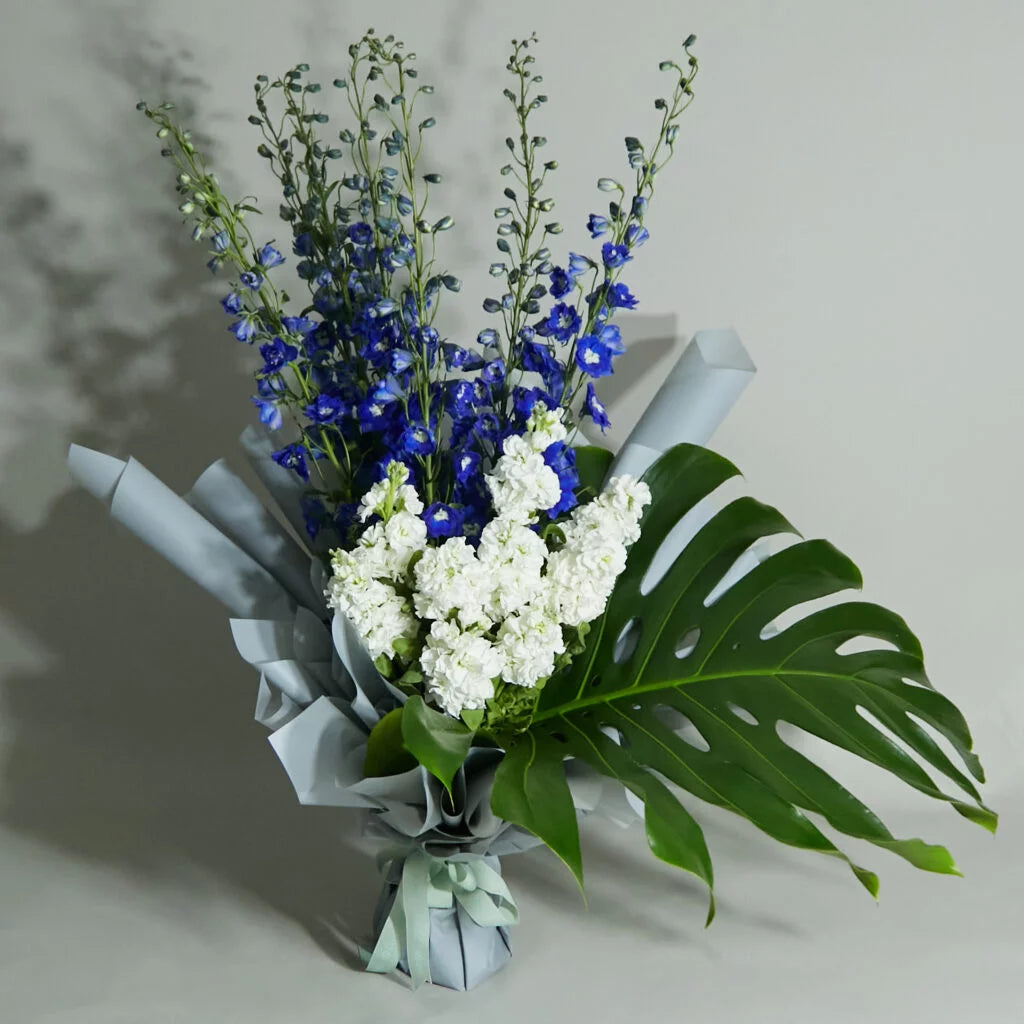 Delmo | White Stock & Blue Delphinium Bouquet