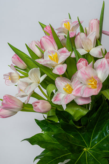 Blush Garden