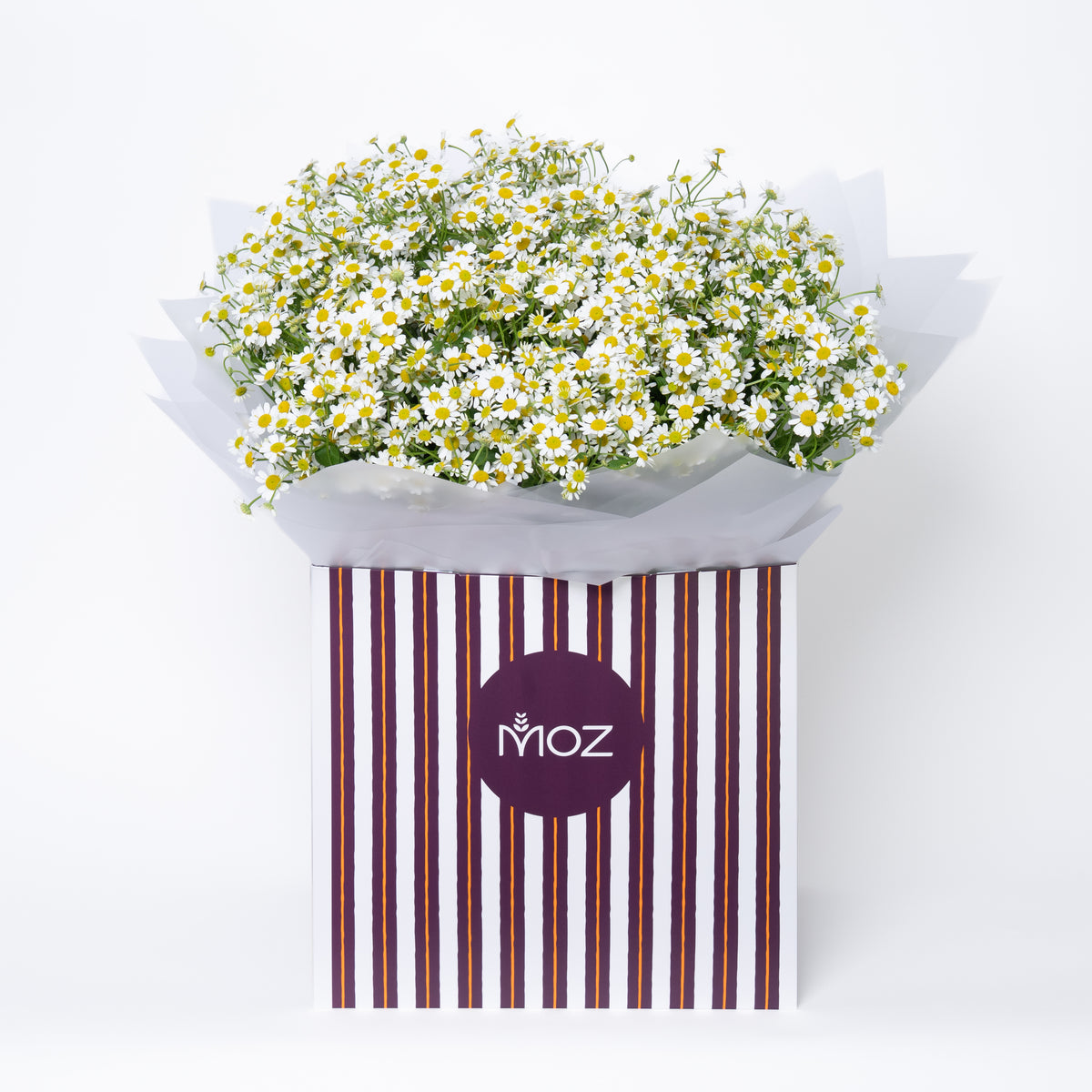 The Chamomile Bouquet
