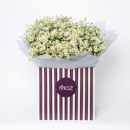 The Chamomile Bouquet