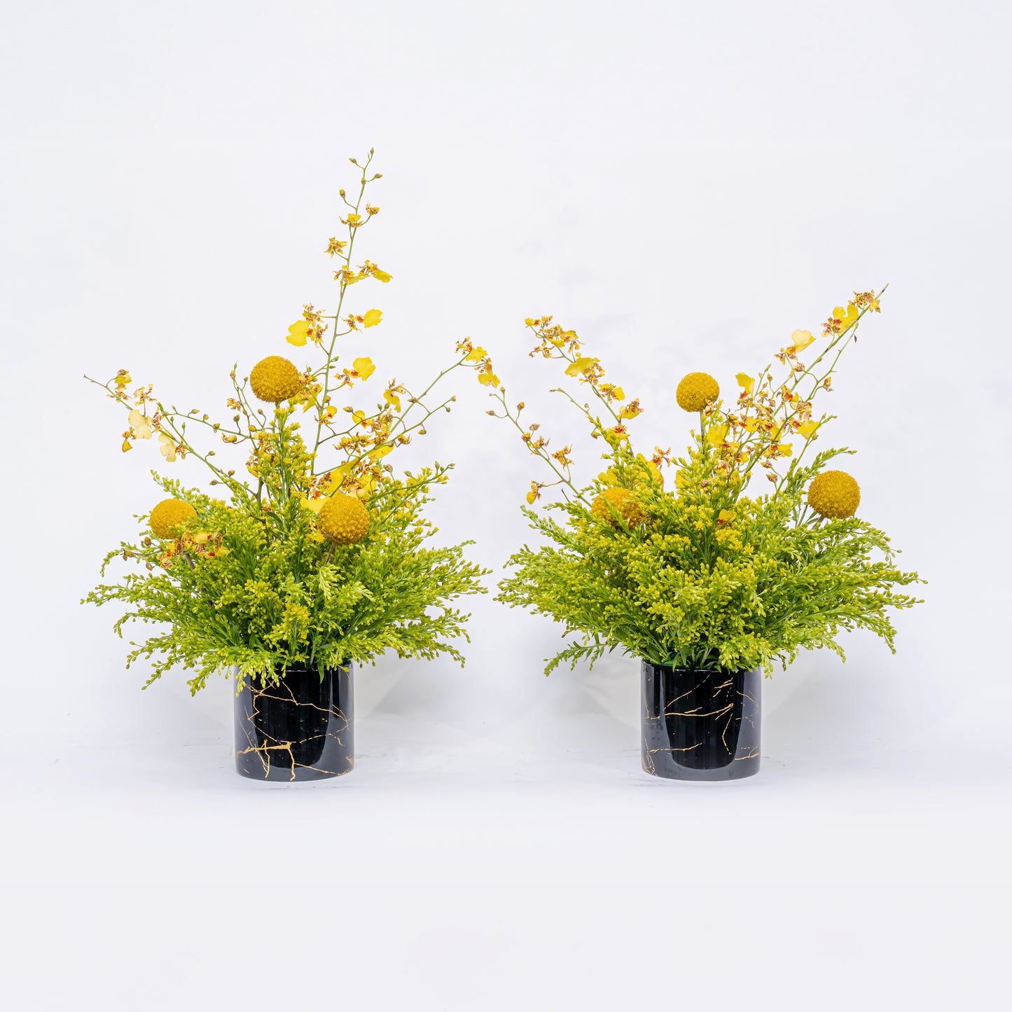 Jaune Duo