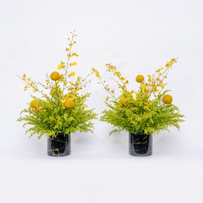 Jaune Duo