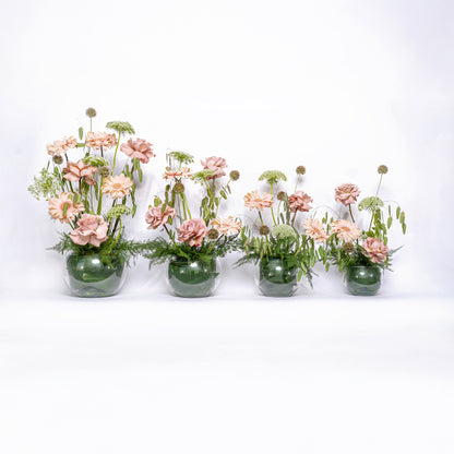 Flora Set 2